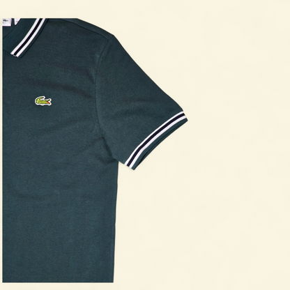 Premium Pique Cotton Polo Shirt For Men